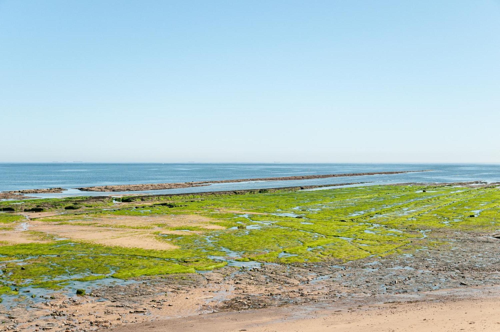 Claxton Hotel Redcar Dış mekan fotoğraf